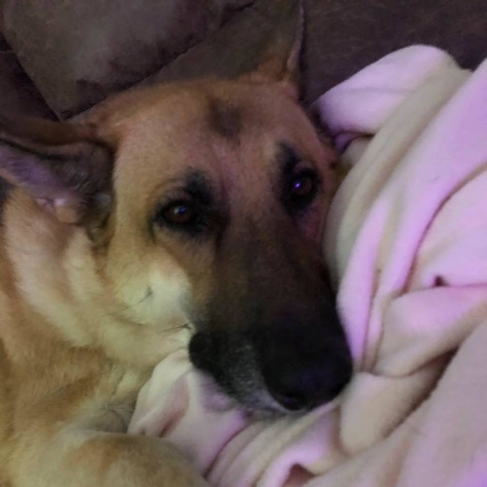 Meet your Posher, Denise